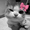@gobhie 🥬🥹 billuX @echowrites🪼 telegram emojis 😉