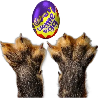 👐 Creme egg cadbury creme egg, creme egg, chocolate, egg, candy telegram sticker