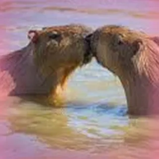 Capybara Are My Life telegram stickers