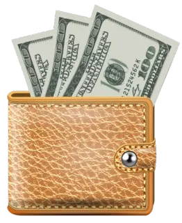 💵 dompet, uang, tunai, mata uang, uang seratus dolar, keuangan, kekayaan telegram sticker