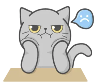 😤 kat, verdrietig, schattig, dier, grijs, cartoon telegram sticker
