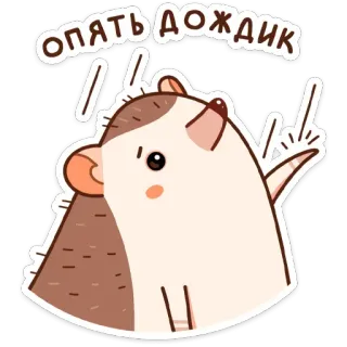 ☔️ Опять дождик เม่น, น่ารัก, ฝน, การ์ตูน telegram sticker