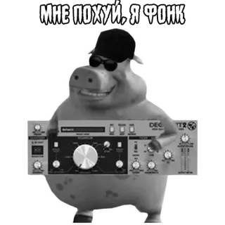 🎼 МНЕ ПОХУЙ, Я ФОНК หมู, ฟังก์, เพลง, ตลก, หมวก telegram sticker