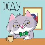 🥱 ЖДУ Katze, wartend, süß, Tier, Kaffee whatsapp sticker