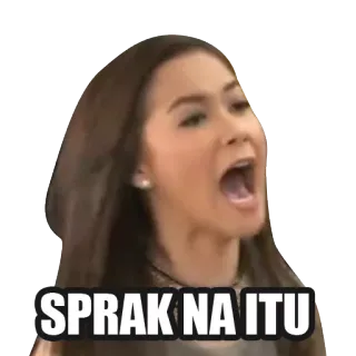 😡 SPRAK NA ITU telegram sticker