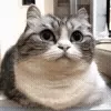 🧐