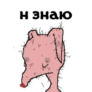 🤷‍♂️ Н ЗНАЮ meme, animal, russo, texto whatsapp sticker
