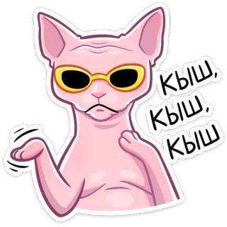 😎 Кыш, Кыш, Кыш кот, сфинкс, солнцезащитные очки, русский, Киш telegram sticker