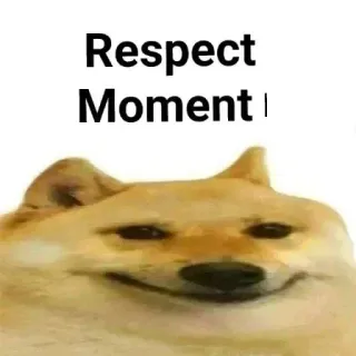 😊 Doge Doge Meme Respect Moment telegram sticker