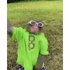 😎