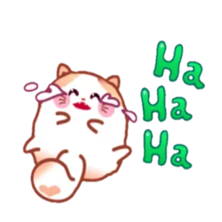 😂 Ha Ha Ha desenho animado, gato, rindo, engraçado, fofo, feliz, emoji telegram sticker