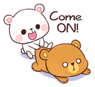 😛 Come ON! urso, massagem, fofo, engraçado, desenho animado telegram sticker