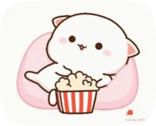 🍿 gatto, cartone animato, carino, popcorn, animale telegram sticker
