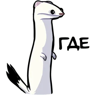 🤔 Ermine Hermelin, Tier, Wiesel, Säugetier, süß, Cartoon telegram sticker