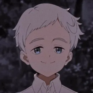 ☺️ Norman The Promised Neverland 애니메이션, 노먼, 약속의 네버랜드, 소년, 만화, 일러스트 telegram sticker