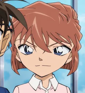 Haibara ai whatsapp stickers