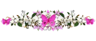 🙄 butterfly, flowers, floral arrangement, decorative, nature, pink, white whatsapp sticker