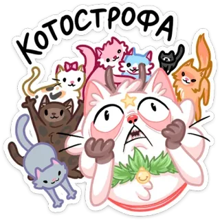 😳 КОТОСТРОФА Katze, Katzen, Kätzchen, lustig, süß, Cartoon, Tier, котоострофа telegram sticker