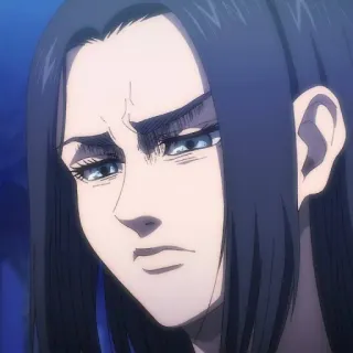 ⚔️ Attack on Titan anime, woman, long hair, expression, aot, face telegram sticker