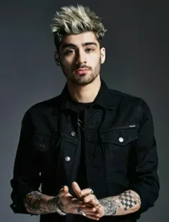 👑 Zayn Malik Sänger, Promi, Mann, Porträt telegram sticker