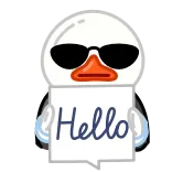 😍 Hello canard, lunettes de soleil, bonjour, salut, cool, personnage telegram sticker