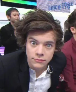 😀 Harry Styles since 1984 harry styles, one direction, singer, celebrity, funny face, male, since 1984 telegram sticker