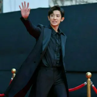 👋 homme, tapis rouge, mode, célébrité, style, manteau, noir telegram sticker