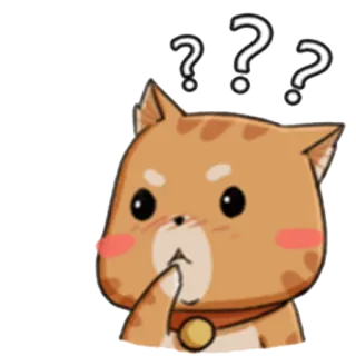 ❓ gato, pergunta, pensando, curioso, animal, emoji telegram sticker