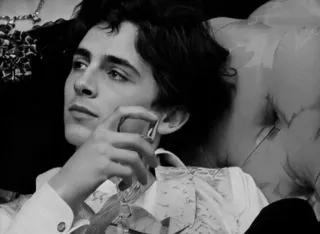 🕳 Timothée Chalamet attore, ritratto, bianco e nero, uomo, celebrità, bere telegram sticker