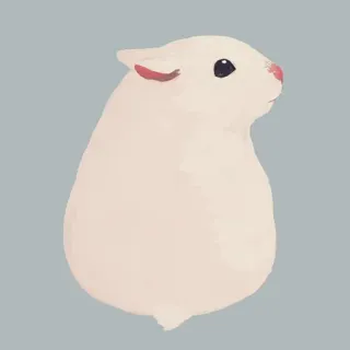 🐹 hamster, pet, animal, cute, white telegram sticker