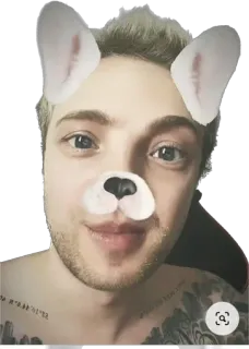 🐰 Selfie, Persona, Retrato, Cara, Filtro, Orejas de perro telegram sticker