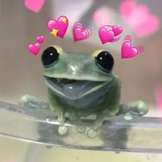 🥰 kikker, harten, liefde, schattig, dier, amfibie telegram sticker