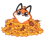 🍂