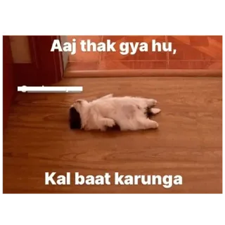 😮‍💨 Aaj thak gya hu, Kal baat karunga anjing, kelelahan, lelah, bahasa Hindi, malas, istirahat, binatang whatsapp sticker