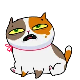 😠 고양이, 만화, 애완동물, 동물, 스티커 whatsapp sticker