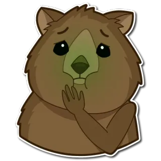 🤢 Quokka, sad, cute, animal, marsupial telegram sticker