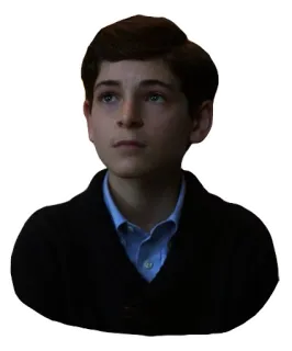 😟 Bruce Wayne Gotham bambino, ragazzo, giovane, ritratto, Gotham telegram sticker