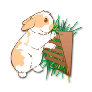 🌿 うさぎ, 動物, ペット, かわいい, 愛らしい, ふわふわ telegram sticker