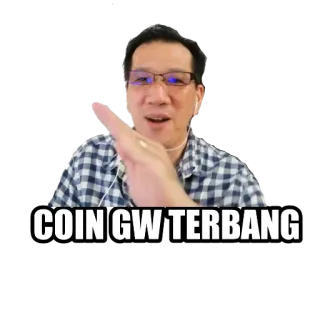 😎 COIN GW TERBANG coin, flying, indonesia, meme telegram sticker
