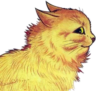👀 chat, chaton, animal, vintage, jaune telegram sticker