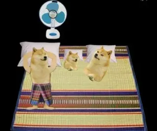😂 Doge Doge meme telegram sticker