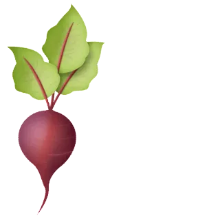 🥕 remolacha, verdura, comida, planta, raíz telegram sticker