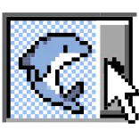 🐬