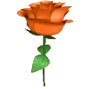 🌹