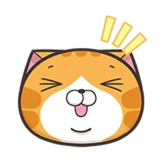 🐵 고양이, 동물, 주황색, 만화, 스티커, 웃긴, 귀여운 telegram sticker