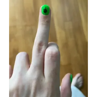 🖕 środkowy palec, obraźliwy, gest, niegrzeczny telegram sticker