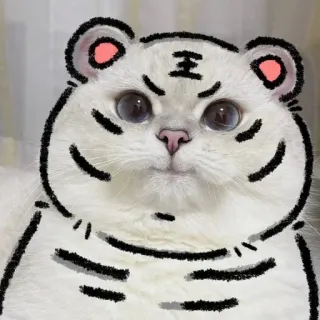 🐾 王 chat, tigre, animal, mignon, drôle, animal de compagnie, autocollant telegram sticker