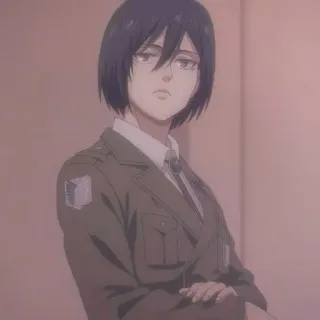🔖 Mikasa Ackerman Attack on Titan anime, attack on titan, mikasa, soldier, military uniform, ackerman telegram sticker