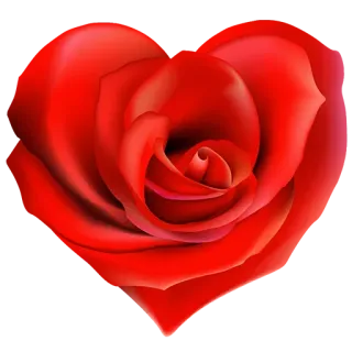 🌏 red rose, flower, love, valentine, romance, rose petal telegram sticker