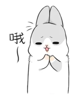 😊 conejo, conejito, lindo, kawaii, animal, dibujos animados telegram sticker